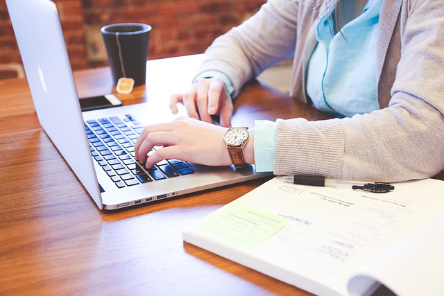 A person using a computer to search for trademarks in a trademark search software